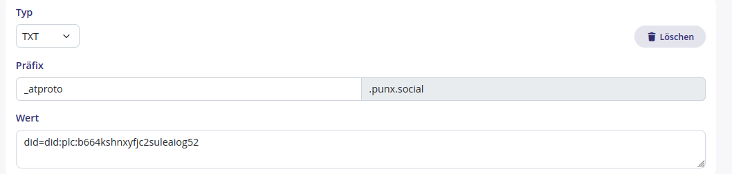 screenshot how the DNS entries look
